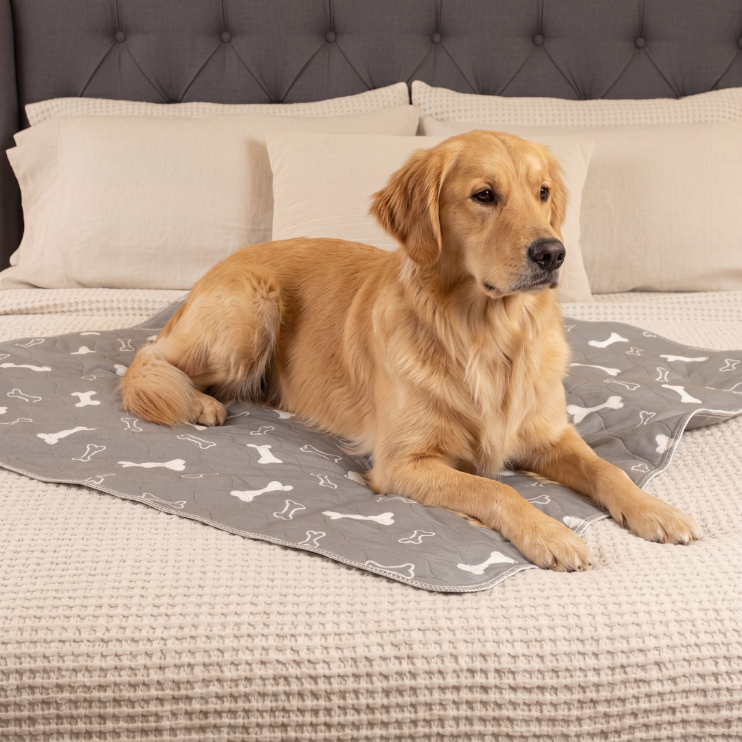 TinyOops washable dog mat in use